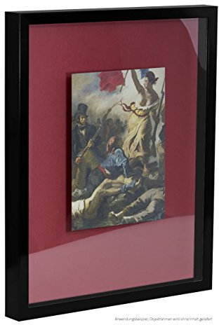 Bildershop-24 Objektrahmen FrameBox VARIO36 Schwarz (matt) 20x40cm zum Einrahmen von Trikots, Blumen, Passepartouts etc.