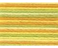 Anchor Home 50g Perlgarn Multicolor - Farbe 1304 - gelb/grün - Cotton 5