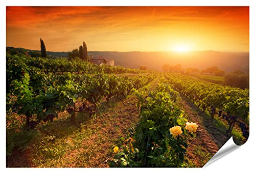 islandburner Prime XXL Bild Poster Reife Weintrauben Reben Toskana Italien Weingut Sonnenuntergang Warmes Premium Bilder Fotodruck