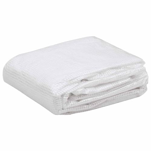 Bâche pour Serre, Bâche de Rechange Film Plastique pour Serre de Jardin (9 m²) 3x3x2 m Transparent
