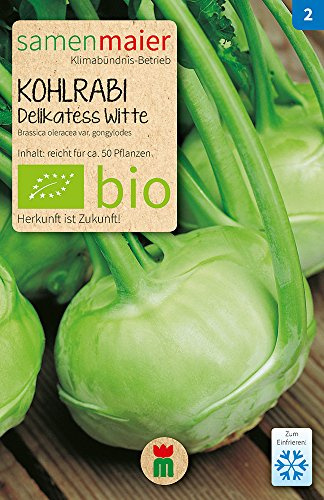 BIO Kohlrabi Delikatess Witte Samen - Früh, zart und platzfest mit hoher Lagerfähigkeit - Brassica oleracea var. gongylodes - Anbauinfo: Aussaat Februar bis Mai, Ernte Mai bis Juli - 0,3 g - Samen ...