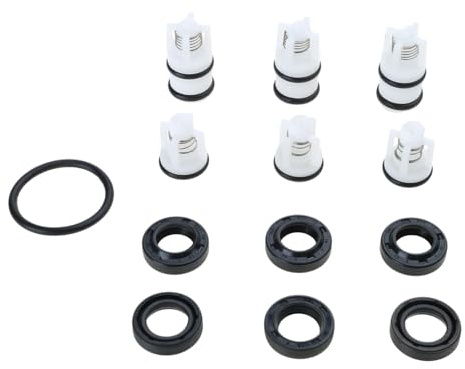 CQEAZ Joint de réparation de tête de nettoyeur haute pression pour pompe - Clapets anti-retour d'huile - Accessoires de pièces d'eau
