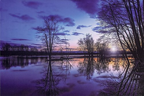 My Home LED imagen lago árboles