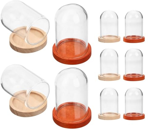 MUELODSIC Lot de 10 Mini Cloches Dôme en Verre Transparent 38X25 MM avec Base en Bois Naturel et Café Foncé Présentoirs Décoratifs pour Fleurs Éternelles Objets D’Exposition et Centre de