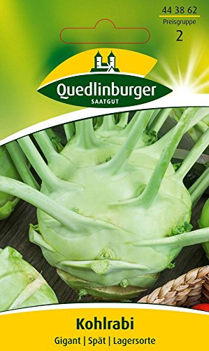 Kohlsamen - Kohlrabi Gigant von Quedlinburger Saatgut