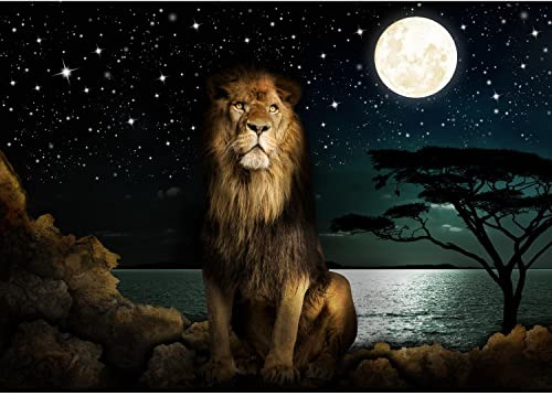 Runa Art Fototapete Afrika Nacht Löwe 352 x 250 cm Vlies Tapeten XXL Moderne Wandtapete Wohnzimmer Schlafzimmer Türkis 9445011b