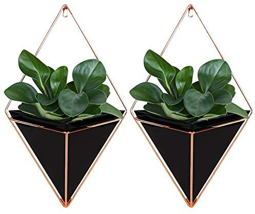 Venus valink 2 Piezas Colgante de Pared Maceta, Geométrico Tiesto, Decoración Contenedor Tiesto Jarrón Interior Jardín para Suculento Plantas Aire Mini Cactus Imitación - Negro, Small