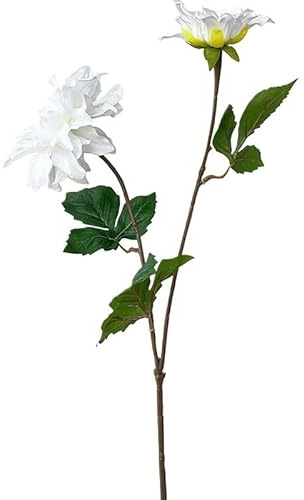 HXSCOO Flores de dalias Artificiales for Decoraciones, Tacto Realista, arreglo de Flores de Boda Rosa, Arte, Flores de Dalia de Silicona Blanca (Color : White Dahlia, Size : 1pc)