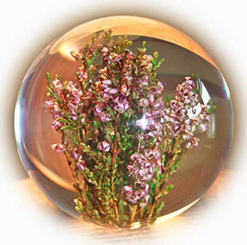 Briefbeschwerer Heidekraut