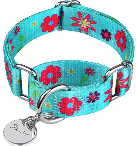 Dazzber Martingale halsband för hundar – mjuk justerbar hundkrage, hållbar D-ring tålig, kragkrage för stora medelstora små hundar, Medium, 2.5cm Wide, Blågrön och solblomma