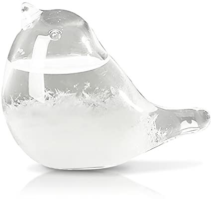 LTXDJ Storm Glass Weather Forecaster, Weather Station Bird Liquid Barometer Cute Creative Decorative Weather Predictor For Home Office, As Gift