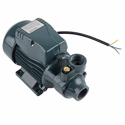 Jeffergarden Pompa Acqua Trasparente Rigenerativa con Corpo in Metallo Resistente, Portata Elevata 35 L/min, per Irrigazione del Giardino e Rimozione dell'Acqua (AC220V)