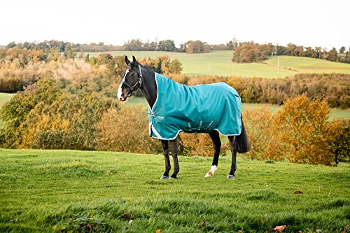 Horseware Amigo Bravo 12 Wug medium Storm Green Größe wählbar (115)
