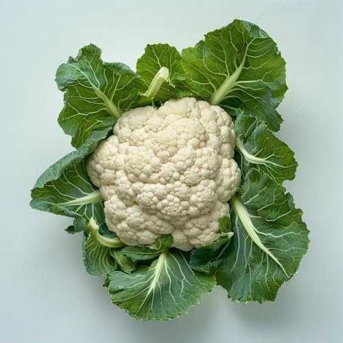 150 Cauliflower Seeds - SemiSauvage Permaculture