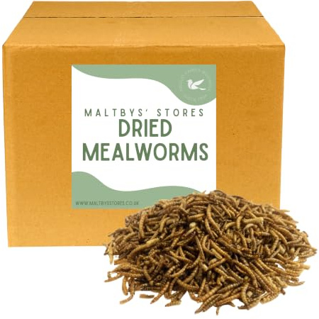 Dried Mealworms 15kg Premium Wild Bird Food