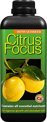 Growth Technology Ltd Citrus Focus Liquid Concentrated Fertiliser 1 Litre