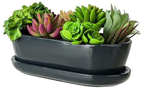 botle Macetero de grafito con plato, ovalado, 13 cm x 27,5 cm x 8 cm, superficie brillante, cactus, cerámica, moderno glamour