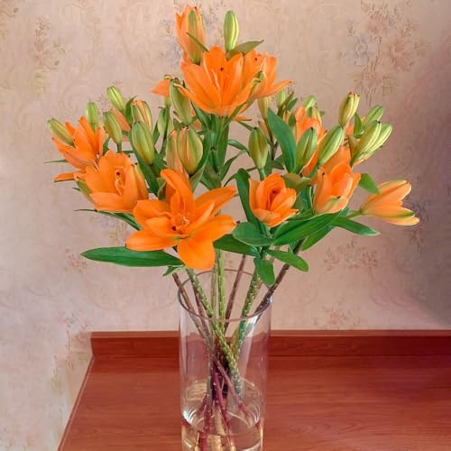 4 pcs lilien zwiebeln- blumenzwiebeln blumenzwiebeln mehrjährig winterhart pflanzen garten echte pflanzen gartenpflanzen winterhart mehrjährig pflanztöpfe winterharte pflanzen für