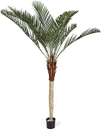 artplants.de Konstgjord Phoenix-palm, ljus stam, 210 cm