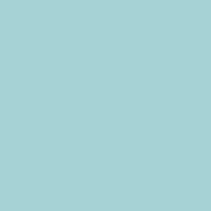 Pinturas al agua de colores para madera de exterior e interior ideal para cualquier tipo de madera (Azul Claro)