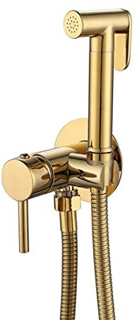 Pulvérisateur de bidet de toilette à main pour couches en tissu et animaux domestiques Robinet de bidet mural en laiton avec pommeau de douche portable