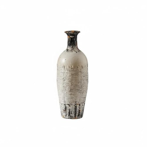 BLWOTMOR Vaso Decorativo in Ceramica Vaso Ornementale Brocca Ornamentale Anfora d'Arredo Finitura Usurata Tono Smorzato Effetto Artigianale per Rami Secchi E, A3355
