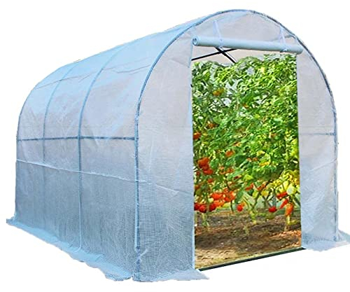 Gewächshaus Foliengewächshaus Tomatenhaus Groß Garten Folientunnel Gewächshaus mit Heavy Duty Stahlrahmen, Draussen Tomaten-Wachstumshaus Hot House pflanzen, 2m/3m/4m/5m/6m lang Winter Gewächshaustunn