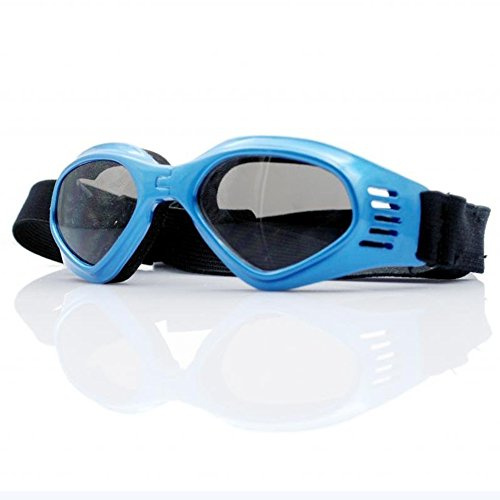 Hundesonnenbrille für kleine und mittelgroße Rassen, UV-Augenschutz, winddicht, Größe M (Blau, M)