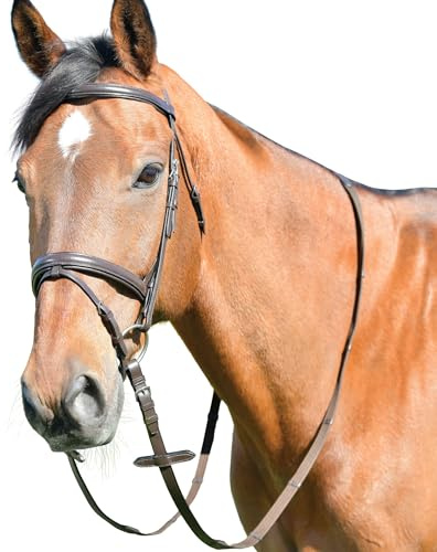 Kincade Classic Plain Raised Flash Bridle with Reins, Brown, Cob