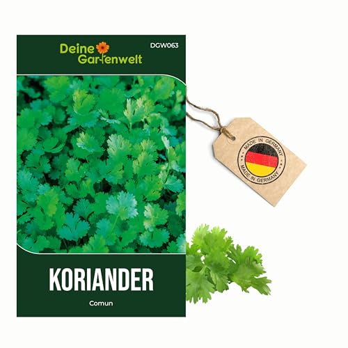 Koriander Comun Samen - Coriandrum sativum - Koriandersamen - Kräutersamen - Saatgut für 50 Pflanzen – 5er Pack