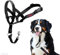 HALTI Headcollar Size 5 Black, UK Bestselling Dog Head Harness to Stop Pulling on the Lead, Easy to Use, Padded Nose Band, Adjustable & Reflective, Professional Anti-Pull Training Aid for Large Dogs