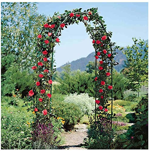 GCSQF Arco de jardín Decoracion Soporte Pérgola Metal Hierro Forjado Jardín Decorativo Arco Diseño Rústico Ideal para Cultivar Cualquier Tipo De Plantas Trepadoras 210508