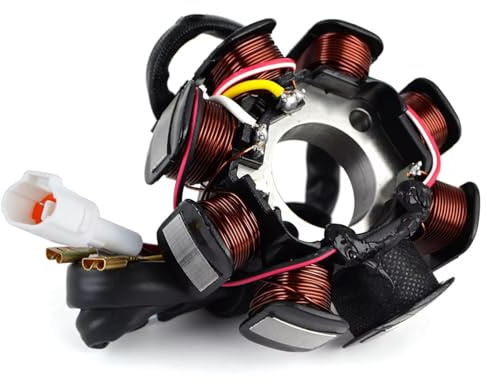 Zündung Lichtmaschine Für Beta Für Xtrainer RR 2T 4T 125 250 300 350 390 400 430 450 480 498 520 Racing Für Cross Country 006100200000 Statorspule Motorrad Stator Spule