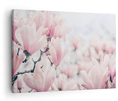 Bilder auf Leinwand Magnolie Blumen Rosa Leinwandbild mit Rahmen 70x50cm Wandbilder Dekoration Wohnzimmer Schlafzimmer Küche Deko Klein Wanddeko Bild Wand Kunstdruck Art Wall Decor Canvas AA70x50-4396