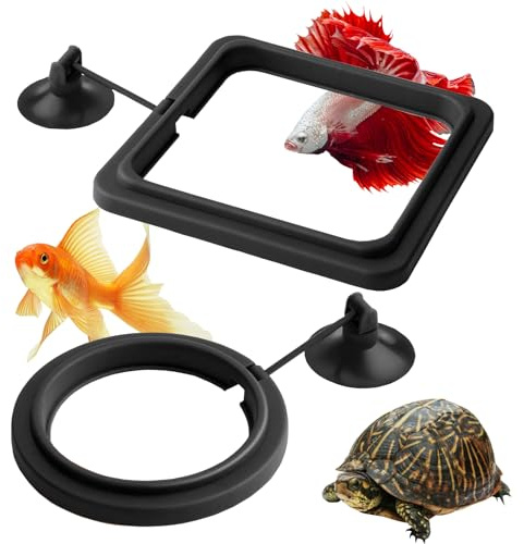 Molyorch 10 Stück Fisch Futterring Teich, Aquarium Feeding Station, Futterring Aquarium, Aquarium futterautomat, Futterring Aquarium für Guppy, Bettas, Goldfisch, Schildkröte