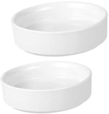 SHINEOFI 2 pièces Lot de Coupelles Céramique pour Pots de Fleurs Soucoupes Rondes Durables et Pratiques pour Plantes Intérieur et Extérieur Plateau de Drainage