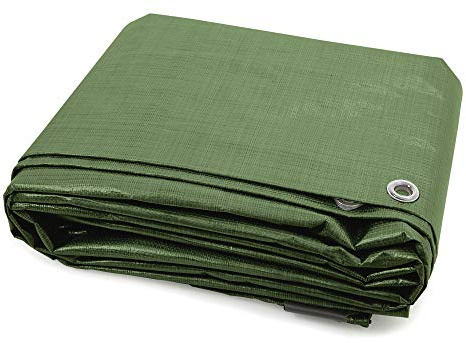 jarolift Telone Occhiellato Impermeabile, Telo di Copertura Multiuso in Polietilene 140 g/m², Resistente, 6 x 8 m, Verde