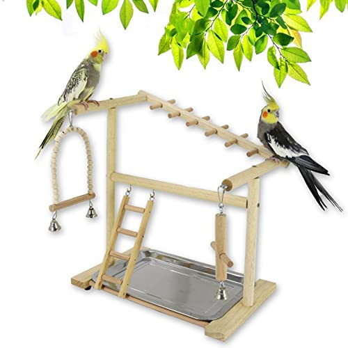 RoseFlower Vögel Spielplatz, wellensittich spielzeug Vogelspielständer Vögel Gym Vogelzubehör Turnhalle Leiter Laufgitter mit Feeder Cups Tablett Schaukel für Perruche Ondulée, Papageien, Finken usw#9