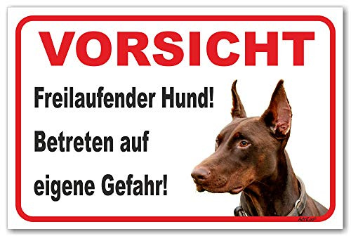 AdriLeo Schild - Vorsicht brauner Dobermann - Freilaufender Hund - (20x30cm) / Achtung Wachhund deutscher Hund robust langlebig UV-beständig wetterfestes Warnschild