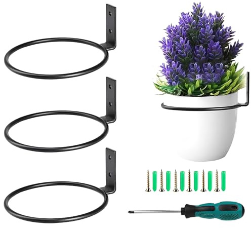 Liwein 3 Stück Blumenampel Halterung 12.7cm Blumentopfhalter Wand Ring Deko Garten Vintage Haken Für Hängepflanze Wandmontage Pflanzen Pflanzenhalter für Haus Garten Balkon Schwarz
