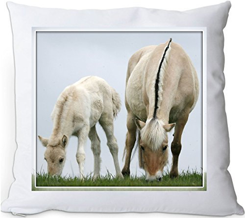 +++ FJORD Fjordpferd Norweger Pferd - Kuschelkissen/KISSEN | PILLOW/Dekokissen - FJO 49