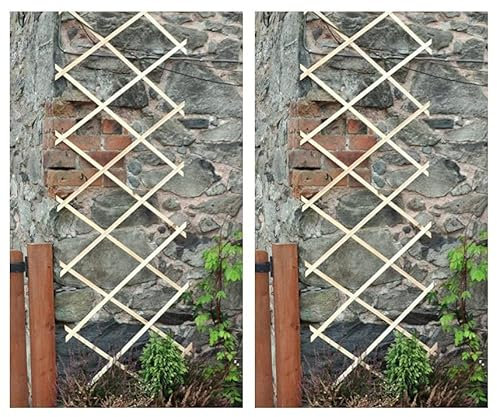 Garden Mile 2x Expanding Wooden Trellis Garden Support - Outdoor Expanding Wood Trellis for Climbing Growing Plants - Climber Plant Support Fence Plant Partitioning for Garden Lawn (2pc) (6ft x 2ft)