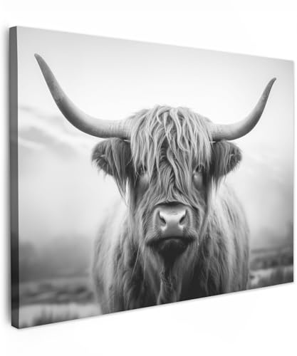 MuchoWow© Bild auf Leinwand Bilder Wanddeko Wohnzimmer Aesthetic Room Decor | 70x50 cm - Deko Zimmer Wandbilder Modern Gemälde Wandbild Schottisches Hochlandrind - Kuh - Highland Cow