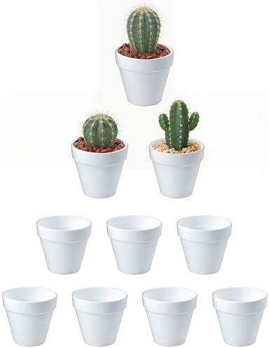 HIGA-JKL 10 pezzi, 6 x 7 cm, vasi per piante grasse in ceramica bianca, mini vasi per piante grasse, per uso interno ed esterno, per piante grasse, piante da interno
