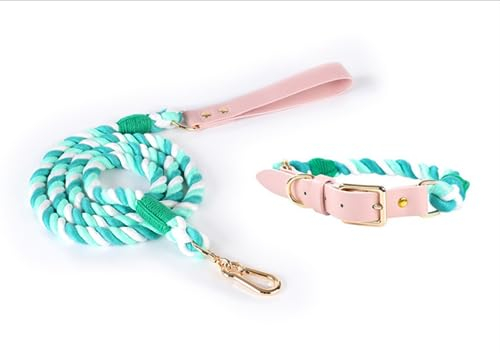 feiling Hundeleine mit Hundehalsband Set für Mittelgroße und Große Hunde Geflochten Hundeführleine Bunt 1.5m Tierleine Haustier Schauleine (L, türkis)