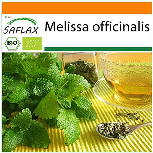 SAFLAX - Garden in The Bag - Organic - Lemon Balm - 1000 Seeds - with Cultivation Substrate in an Easy to Handle Stand up Bag. - Melissa officinalis