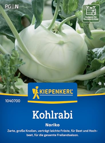 Kiepenkerl Kohlrabisamen Noriko 1040700, Gemüsesaat | Zarte, verträgt leichte Fröste, für Beet, Hochbeet & Freiland