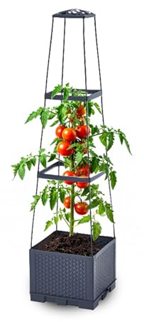 Gartenwelt Riegelsberger Blomlåda med växtstöd i tornform 28 x 28 x H 115 cm, planteringskärl för trädgård och terrass