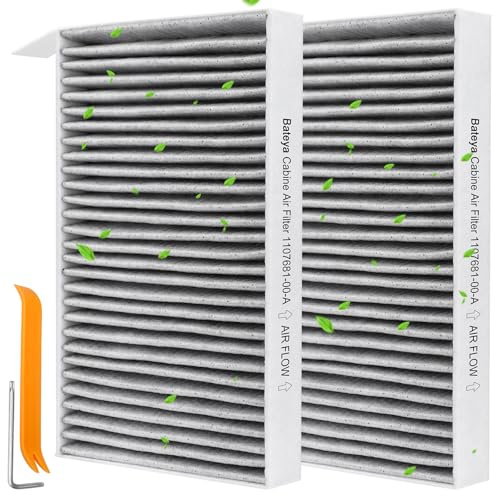 2 filtri per l'abitacolo compatibili con Tesla Model 3 (2017-2025) e per Tesla Model Y (2020-2025) Filtro di ricambio per CF12774,1107681-00-A