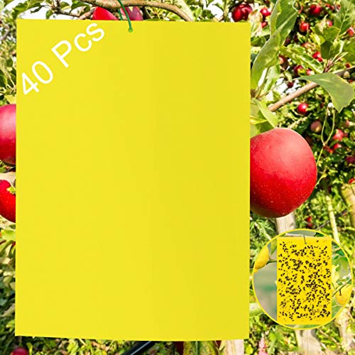 40 Lavagne Gialle per Insetti, Trappole per Chiocciole, Spine Gialle per Colla Brina, Contro Zanzare, Afili, Nematodi, Mosche Bianche e Mosche per Miniera, Adesivo Giallo di Alta Qualità